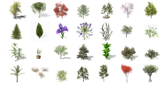 3D растения, цветы и деревья