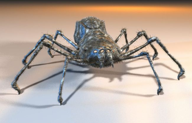 3D модель паука