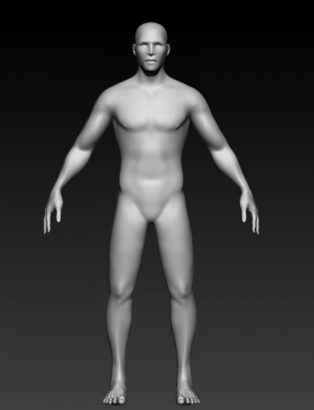3D модель человека